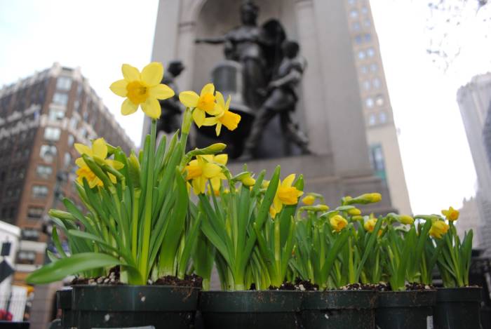 Flowers with the statuesque Bennett memorial clock in the background at Herald Square in Midtown Manhattan.